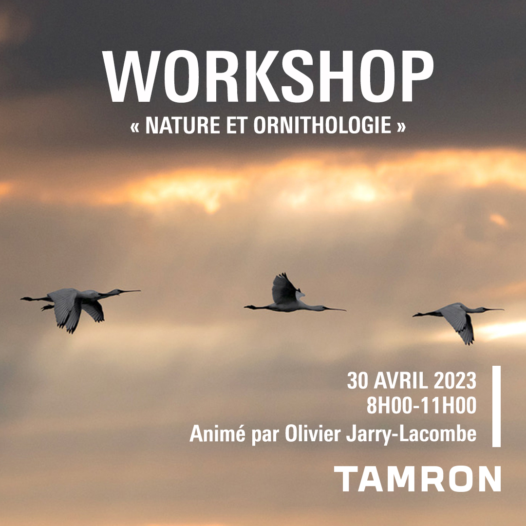 Masterclass « Nature et Ornitho »