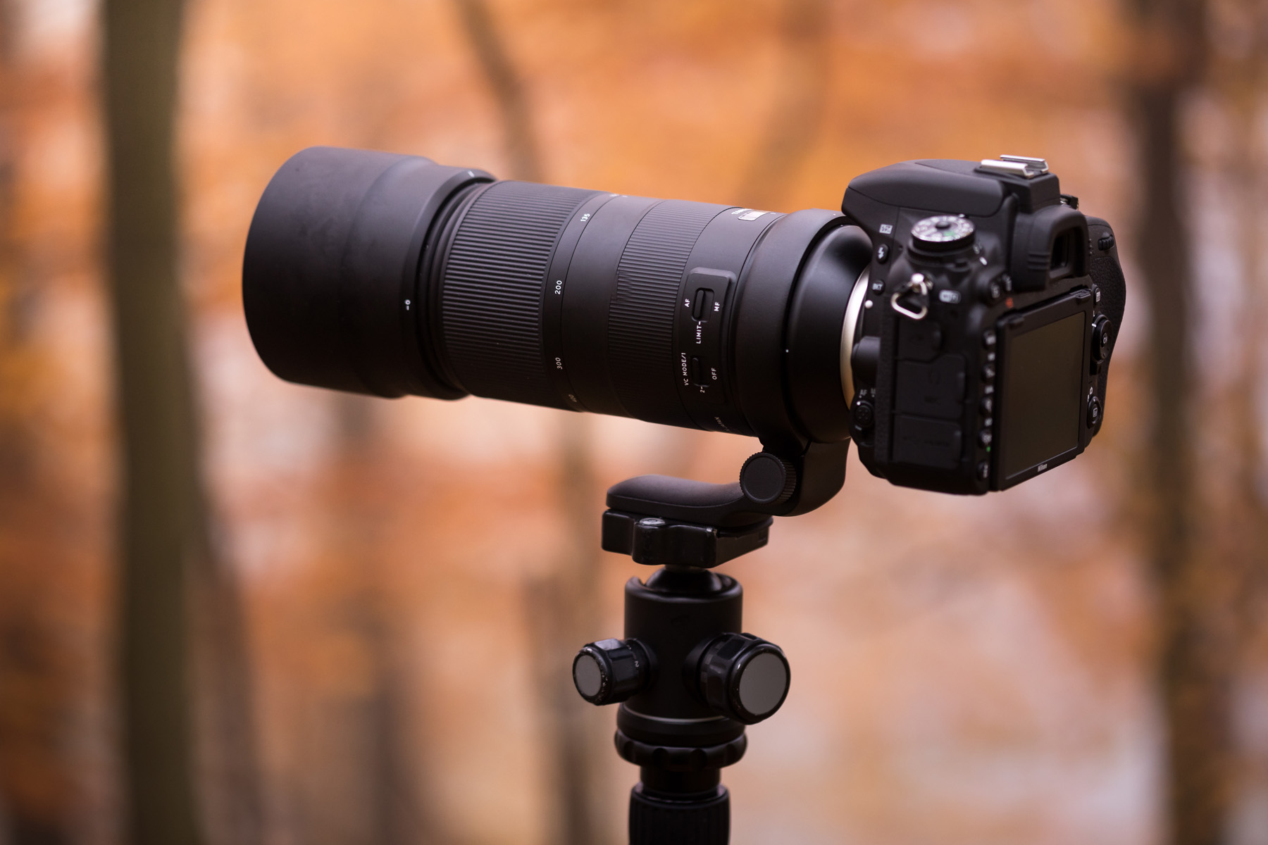 Im Raw-Format fotografieren