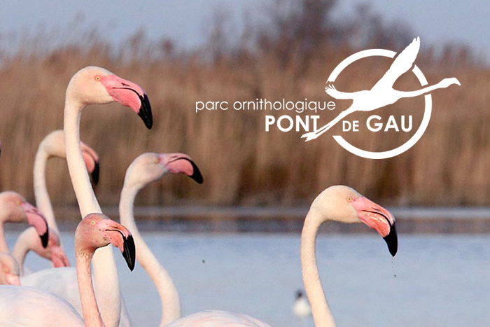 Le Pont de Gau