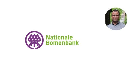 Blogbericht afbeelding