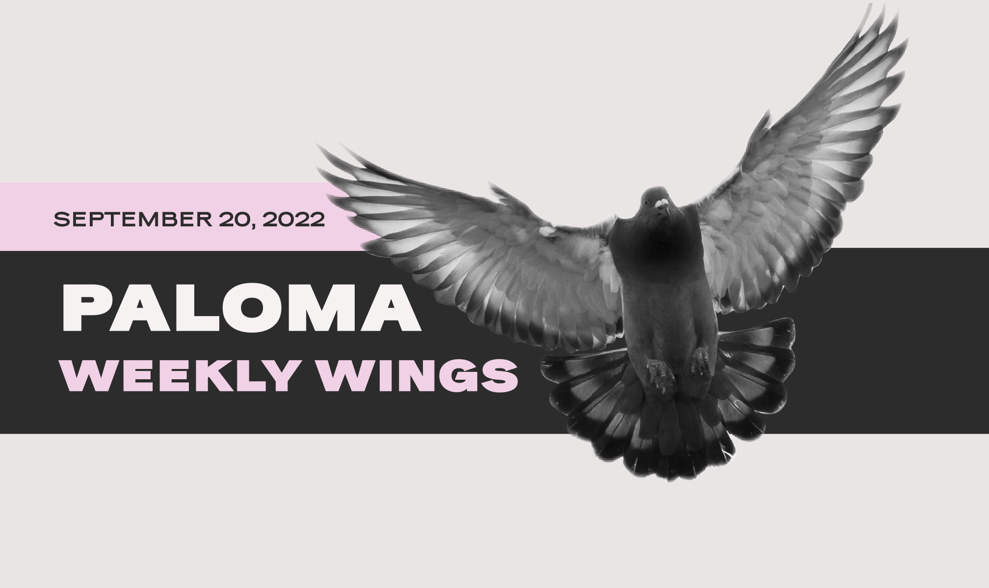 Paloma Weekly Wings September 20 2022: Laying our first Ethereum NFT Eggs  from the Cosmos