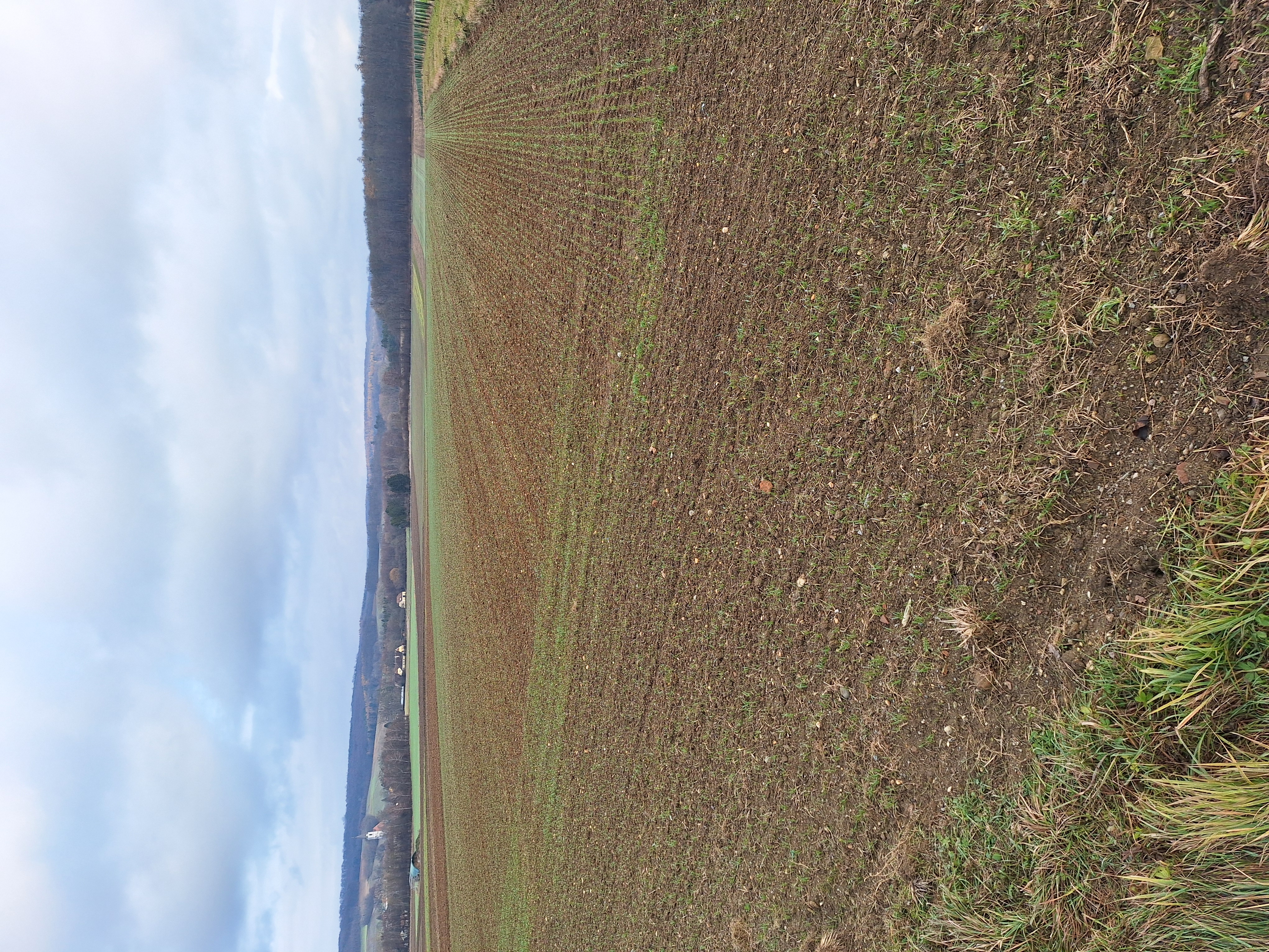 Bild von Anzeige: Acker zu verkaufen oder Pacht