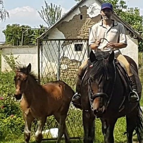 Bild von Anzeige: Weihnachten nicht allein!