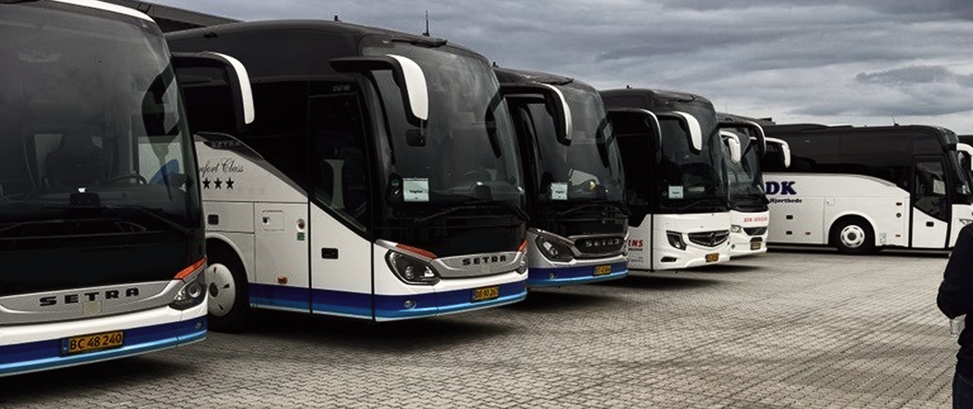 Fleet of buses ready for major events and transportation