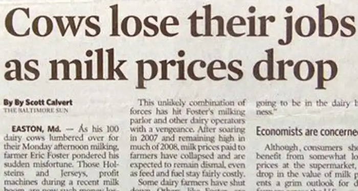 funny headlines