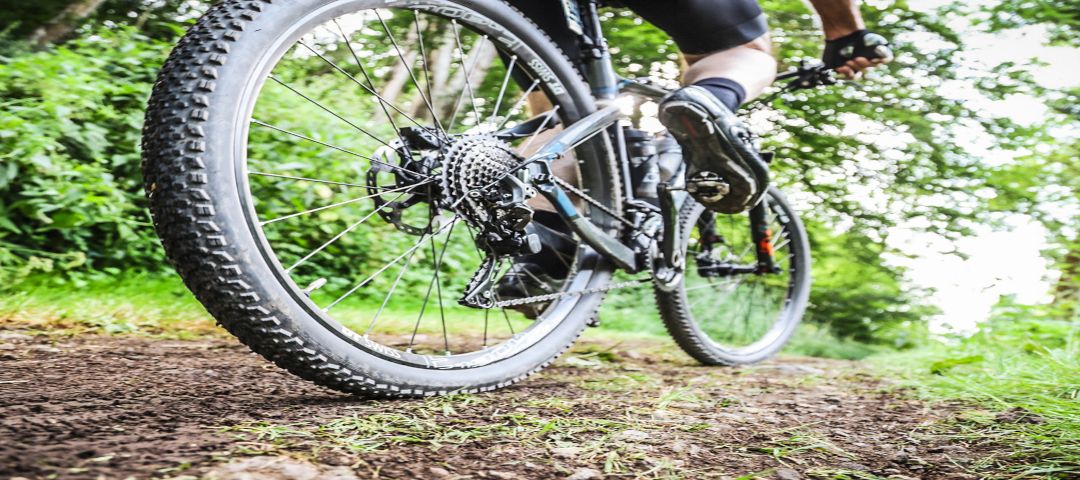 No 24h MTB race in 2025