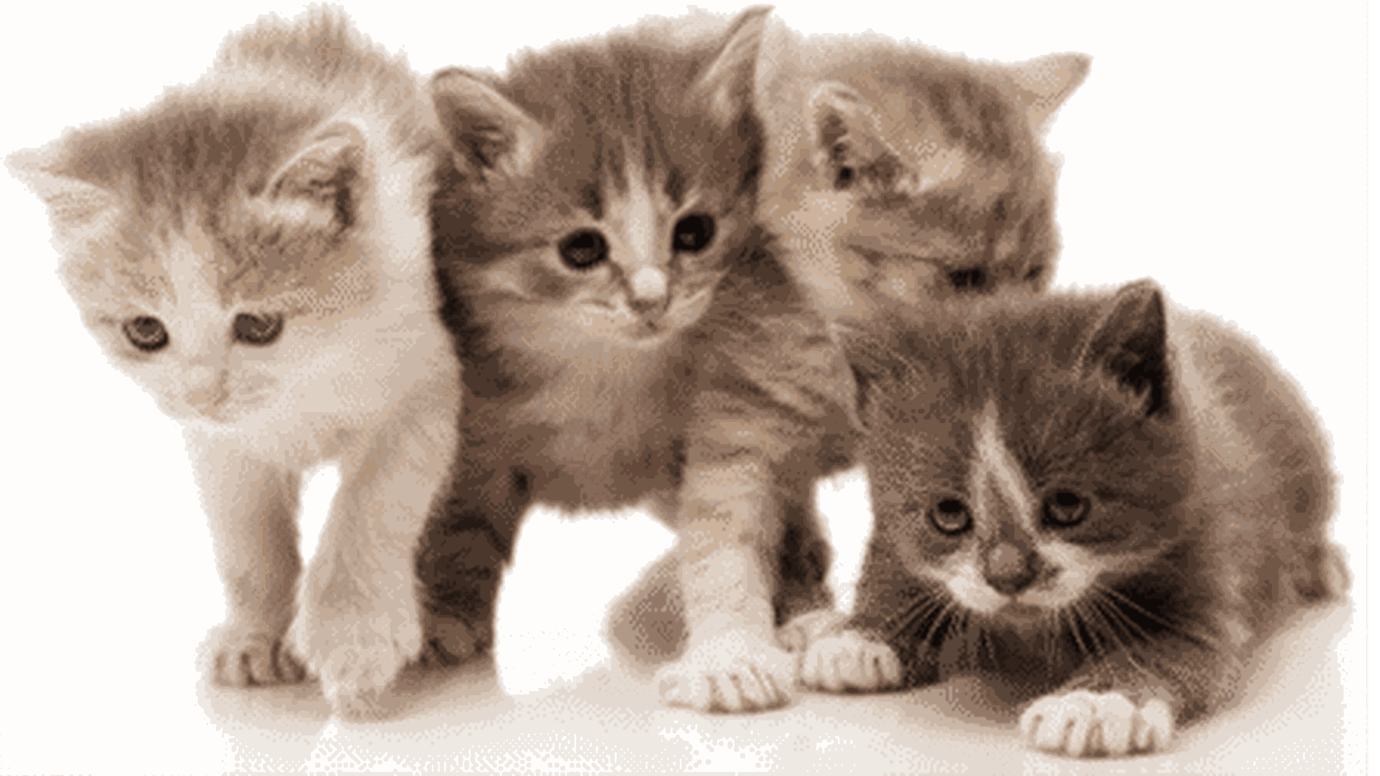 Der Halo-Effekt: Der erste Eindruck zählt!