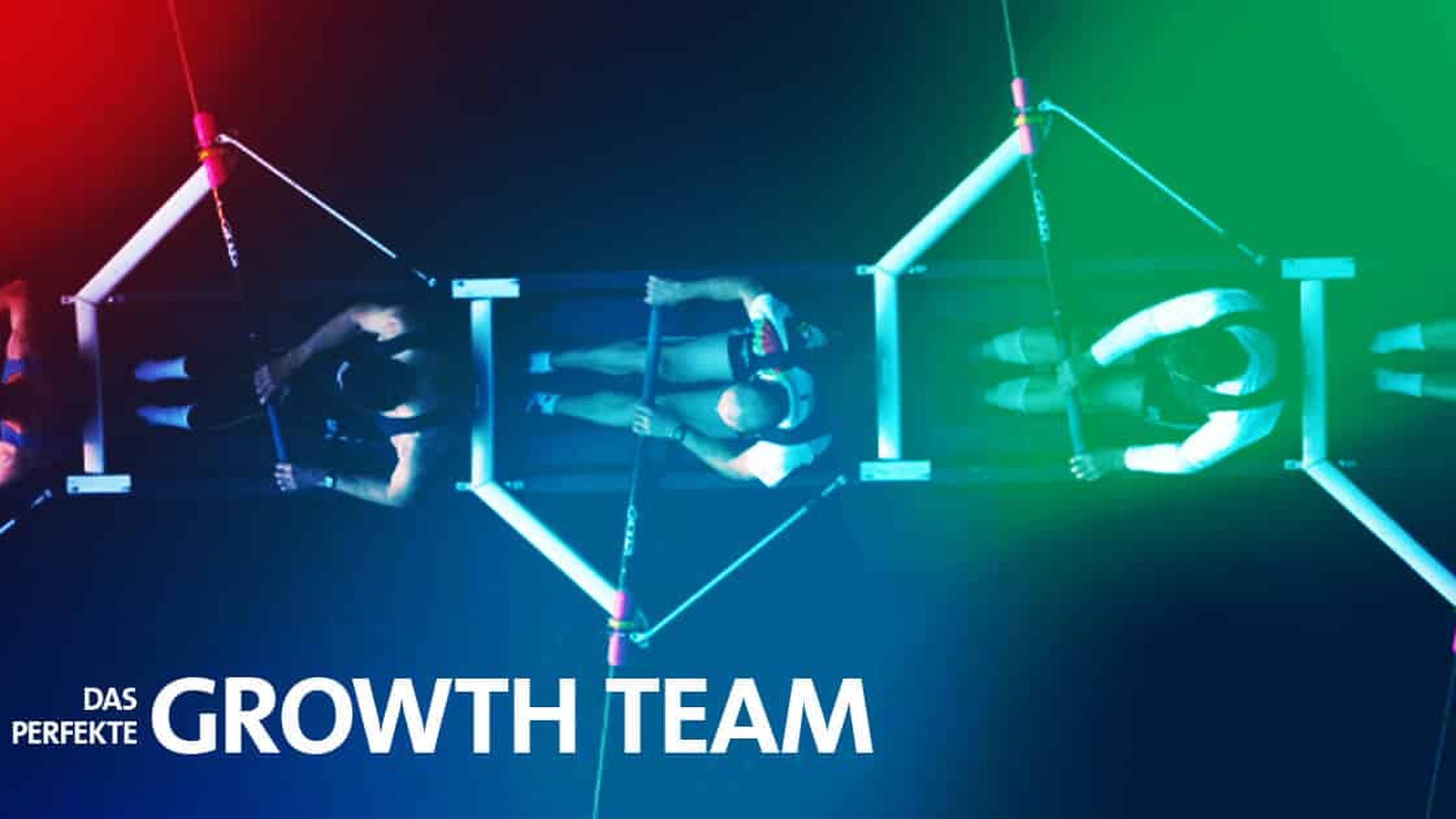 Das perfekte Growth Team: Wen braucht es, um erfolgreich zu wachsen?