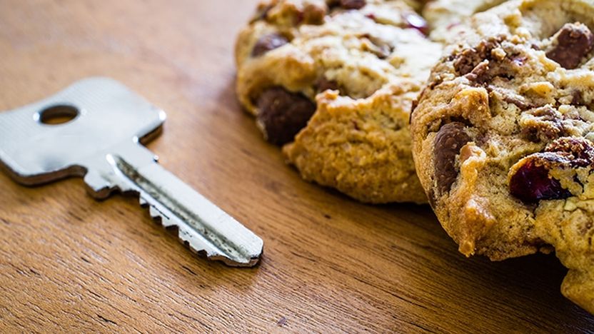 Das Maximum an Tracking mit TTDSG & DSGVO: Wir haben es getestet!