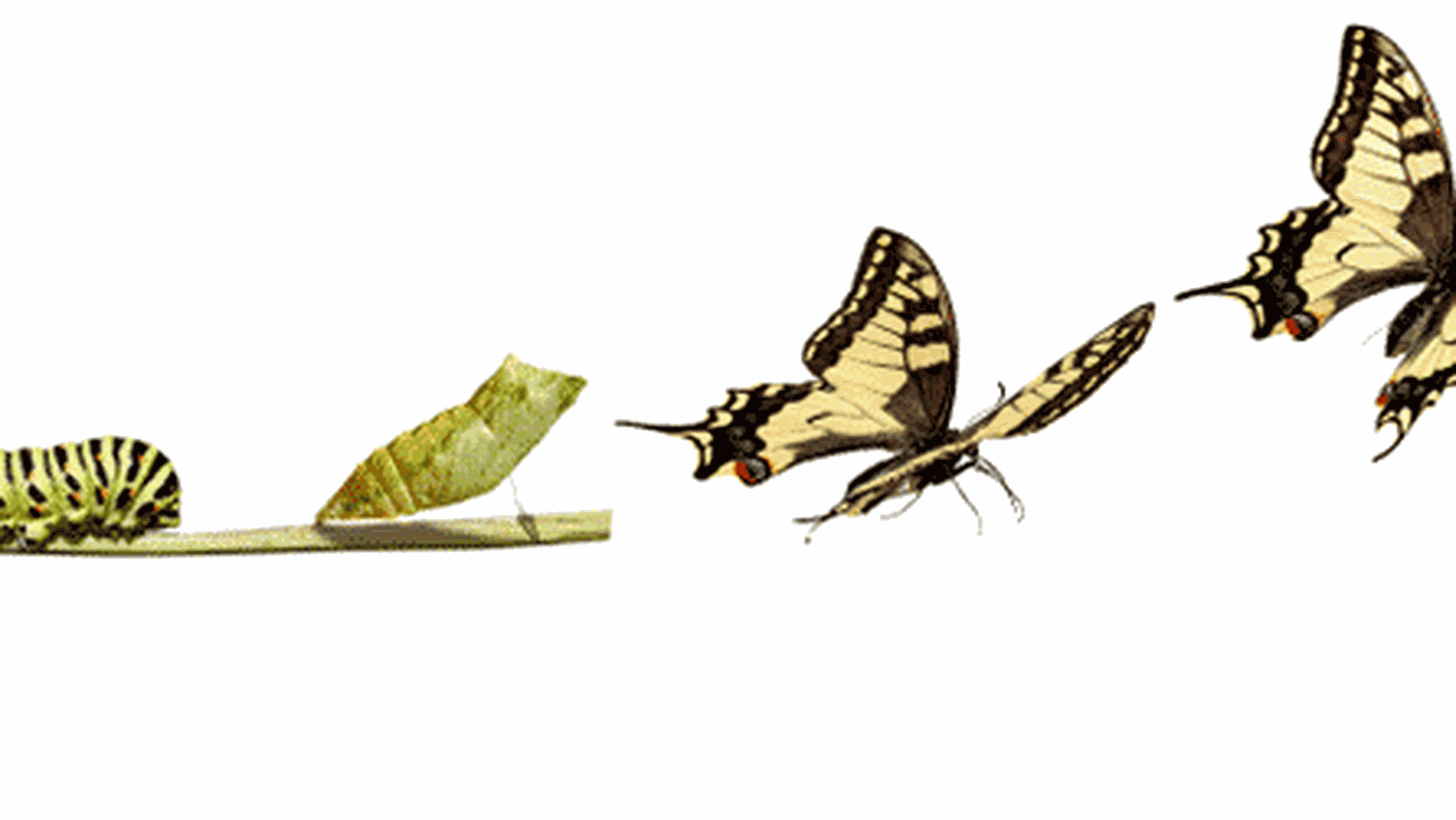 Conversion-Tipps: So konvertieren Sie Einmalkäufer zu Bestandskunden