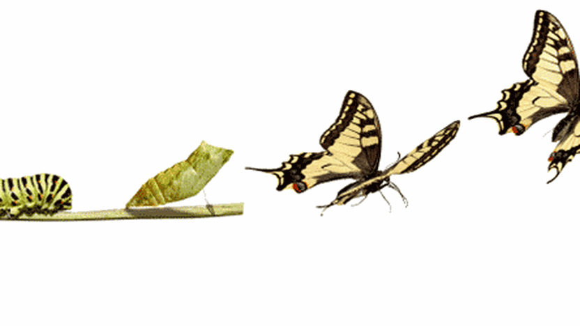 Conversion-Tipps: So konvertieren Sie Einmalkäufer zu Bestandskunden