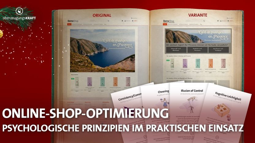 Online-Shop-Optimierung mit Köpfchen: 4 Psychologische Prinzipien im praktischen Einsatz