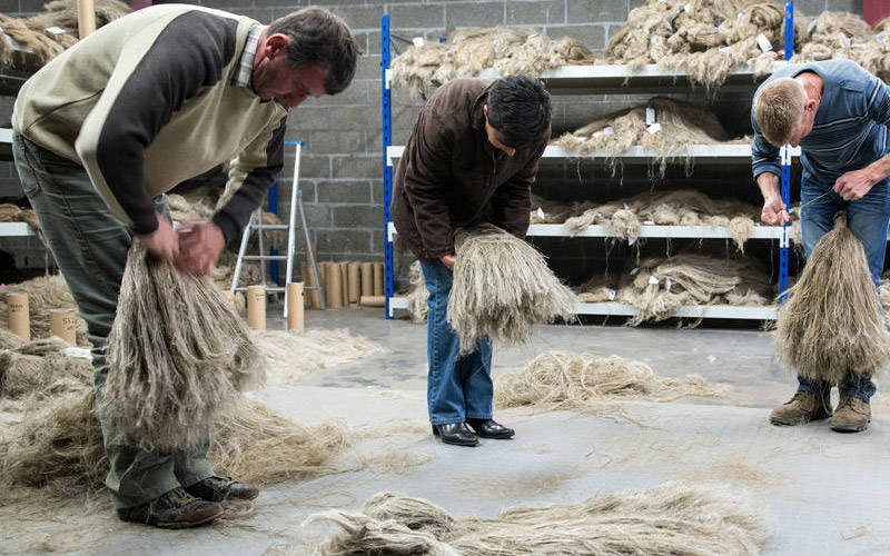Flax Processing