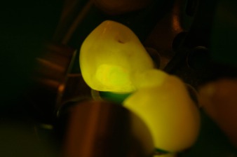 z Facelight z Facelight