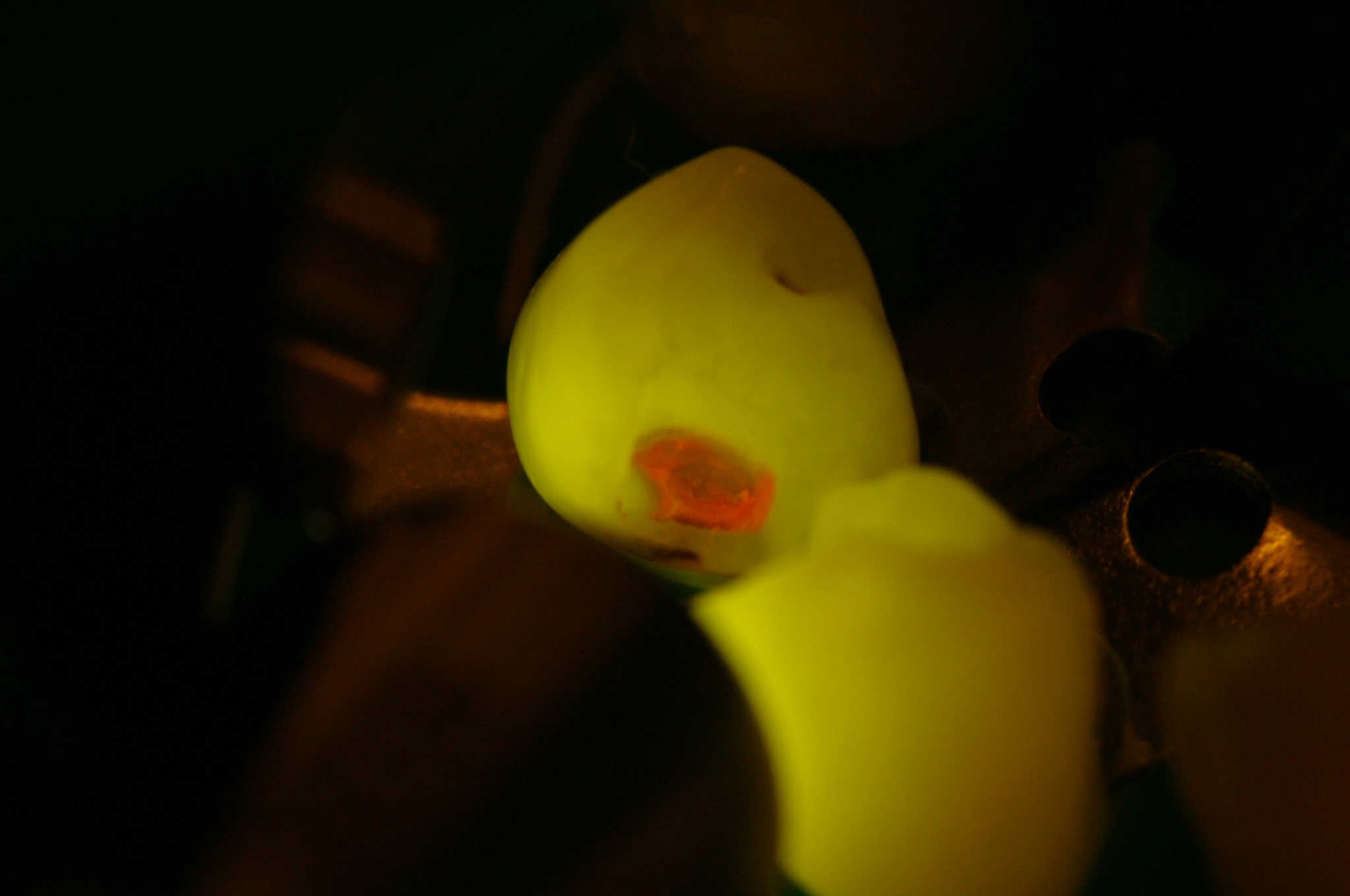 z Facelight z Facelight