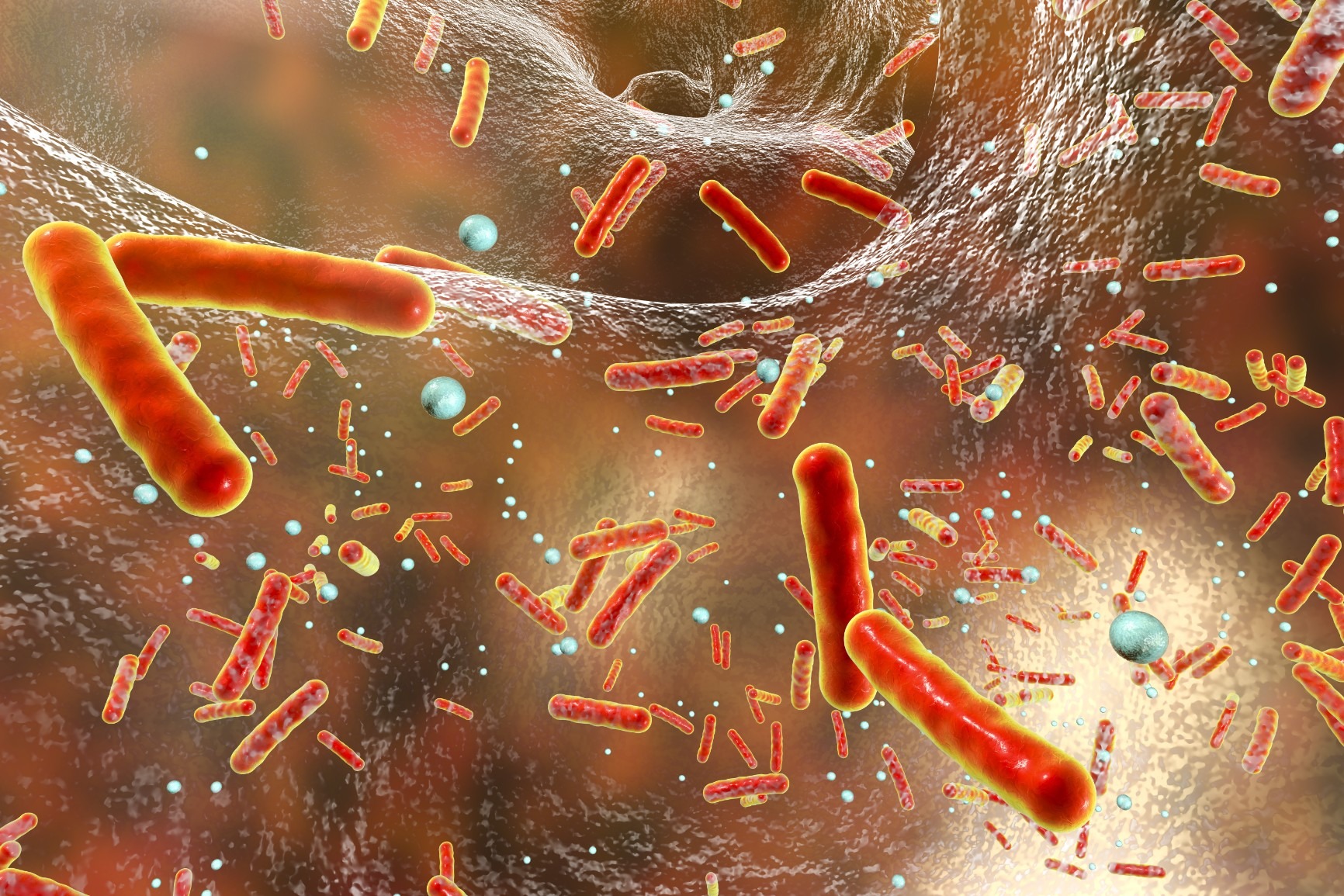 Häusliches chemisches Biofilmmanagement (Shutterstock) Häusliches chemisches Biofilmmanagement (Shutterstock)