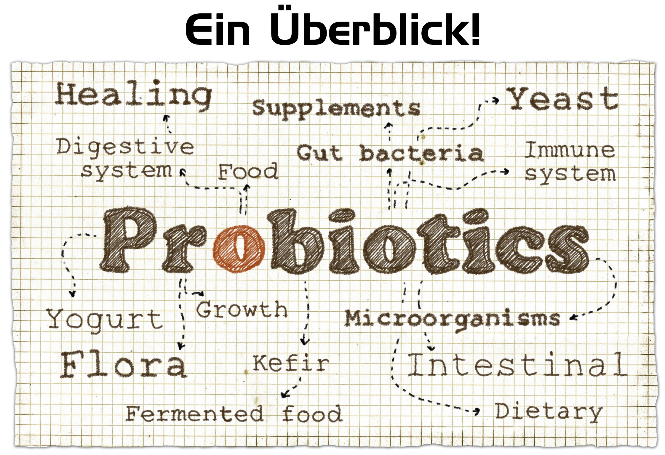 Probiotika in der Paro-Therapie – Ein Überblick! Probiotika in der Paro-Therapie – Ein Überblick!