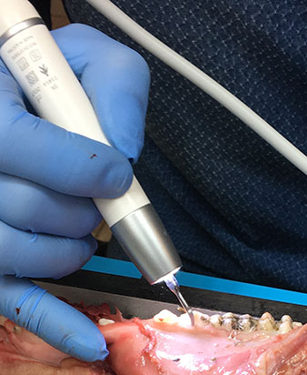 Hands-on-Training Hands-on-Training