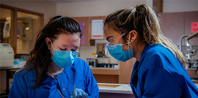 Hospitalo-Universitaire / Collectivités / Mutuelles Hospitalo-Universitaire / Collectivités / Mutuelles