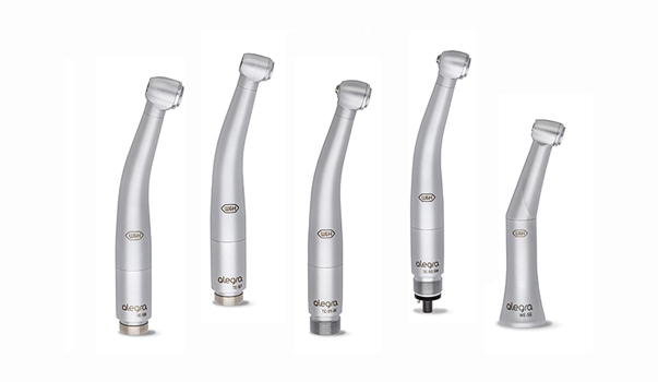 Maintenance Alegra Maintenance Alegra