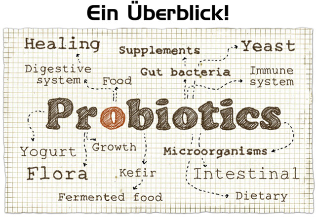 Probiotika in der Paro-Therapie – Ein Überblick!