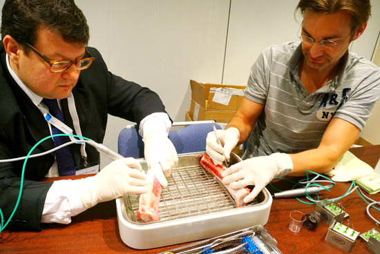 complex tasks in bone surgery complex tasks in bone surgery