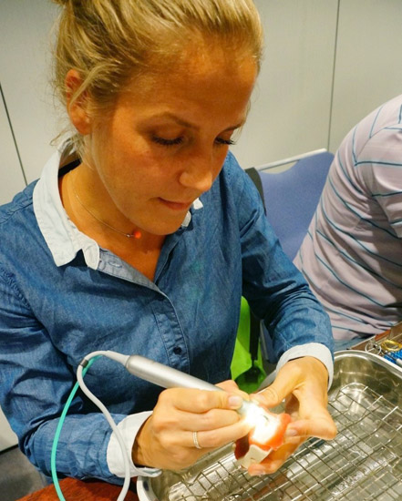 Piezo Technologie Piezo Technologie