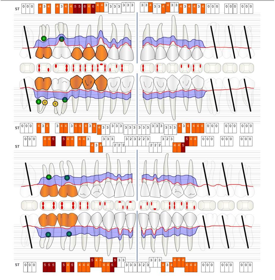 ParoStatus®.de ParoStatus®.de