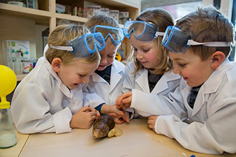 It’s a fascinating experience for (from left to right) Dominik Junghuber, Alexander Moser, Amelie Kogler and Paul Wallner to observe the development and life cycle of a giant African snail, which is kept in a terrarium. It’s a fascinating experience for (from left to right) Dominik Junghuber, Alexander Moser, Amelie Kogler and Paul Wallner to observe the development and life cycle of a giant African snail, which is kept in a terrarium.