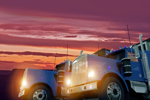 Trucker Get Together