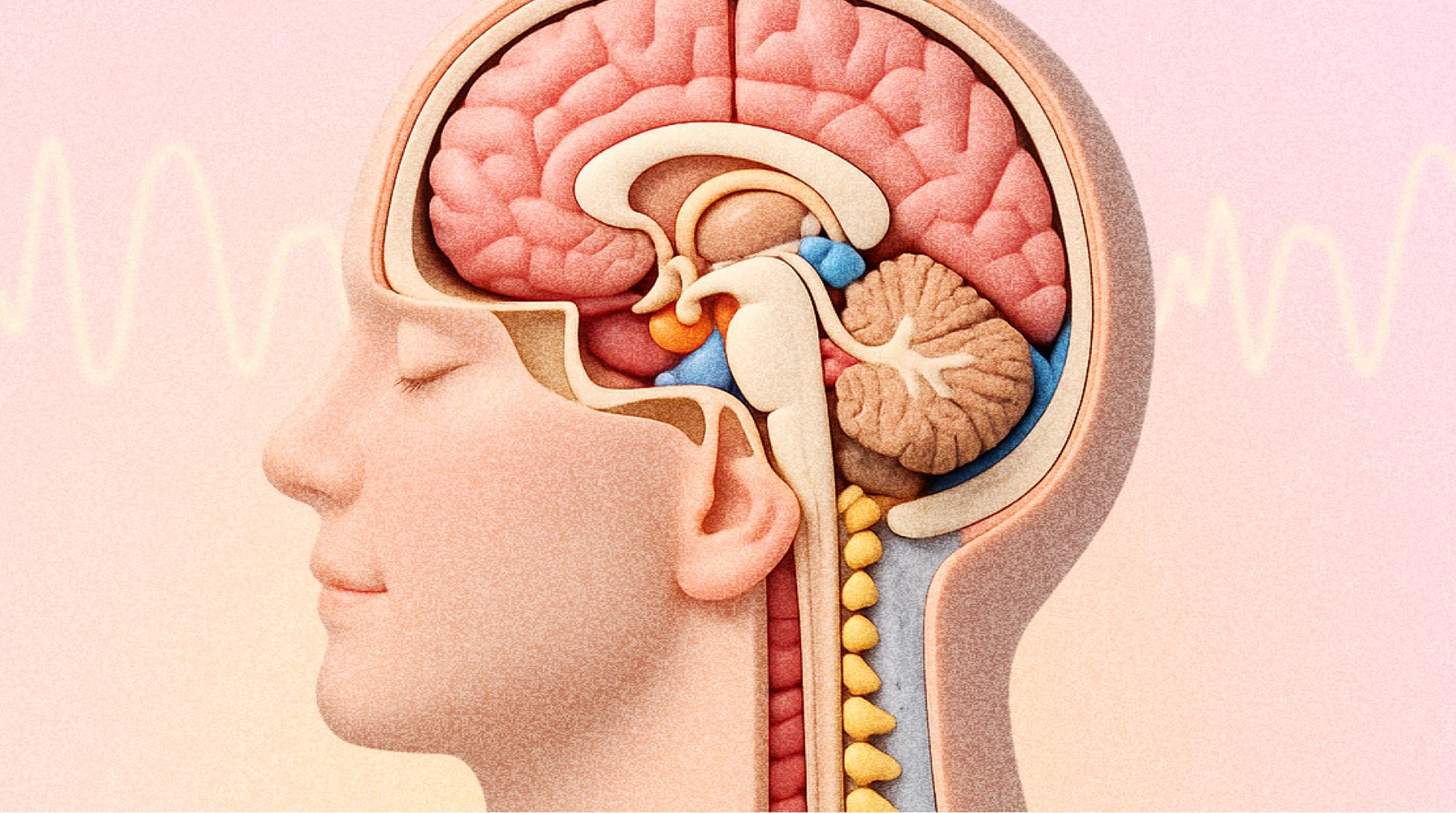 Головная боль: когда это мигрень, а когда стоит проверить сосуды