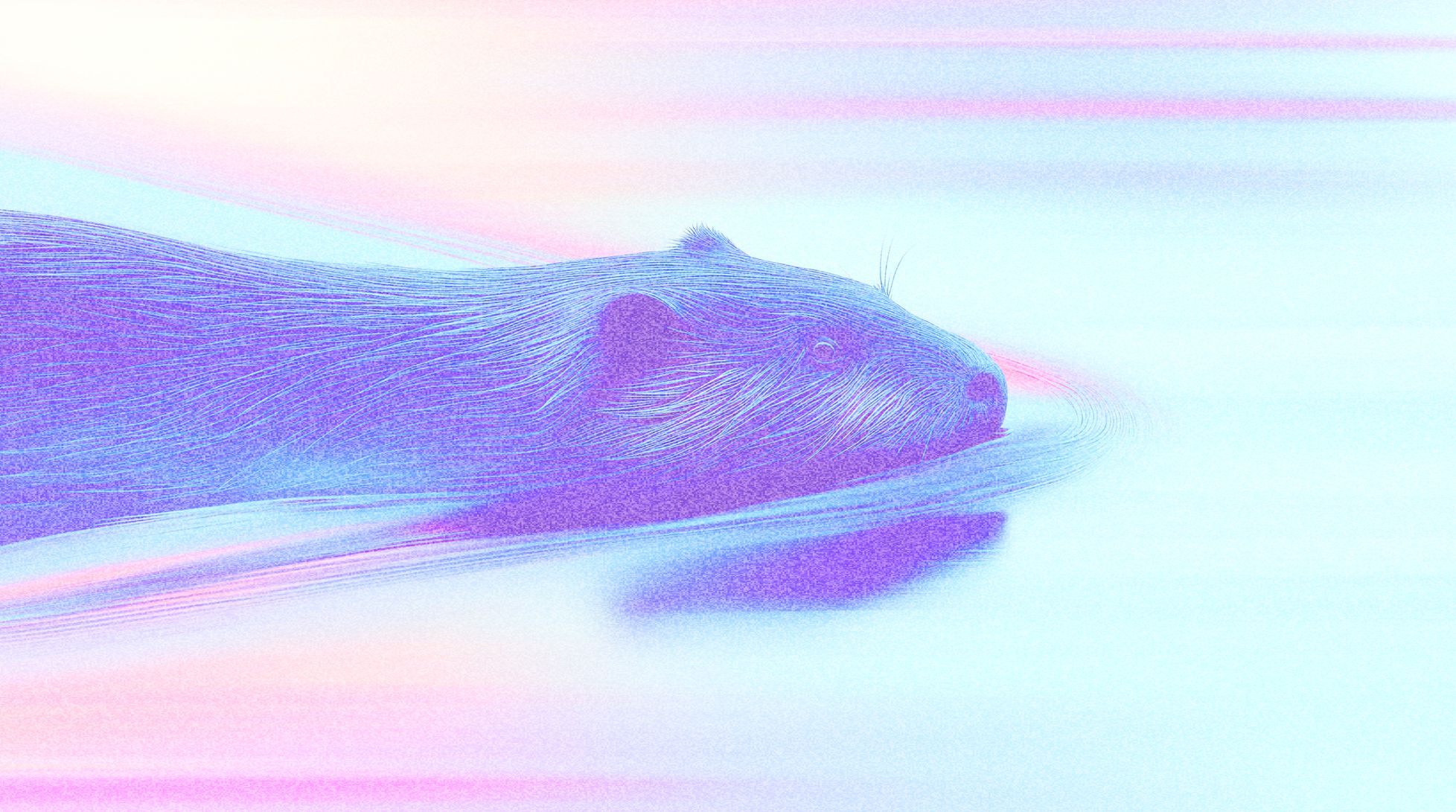 Бобровая струя: работает ли «натуральное чудо»?