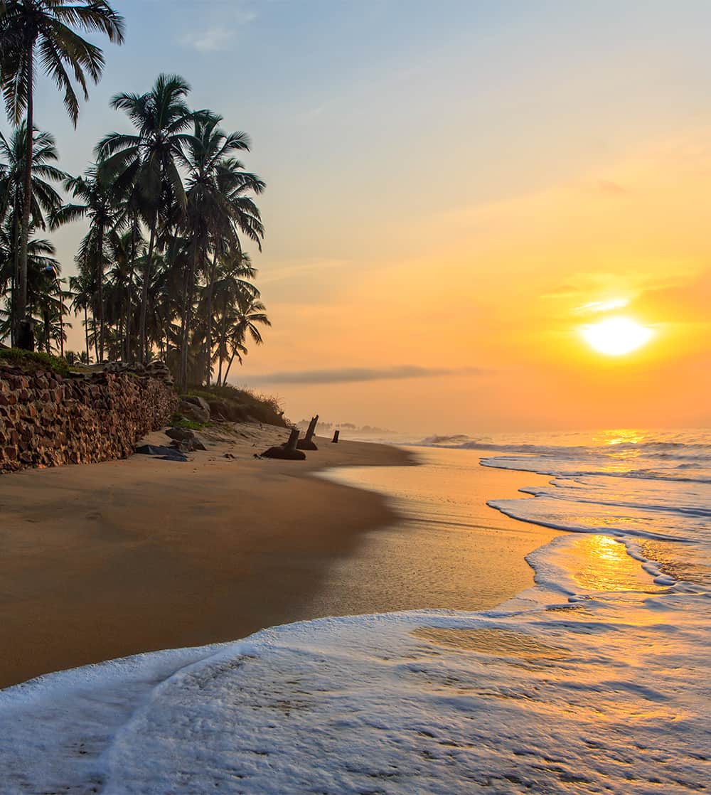 Waves meeting a sandy shore with palm trees during the sunset