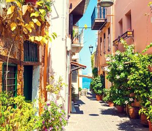 A view from the sidewalk of a colorful beachside town in Greece with plants lining the street