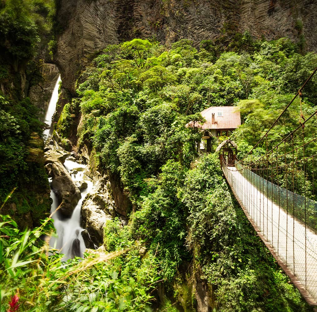 A suspension bridge leading towards a waterfall surrounded by thick greenery