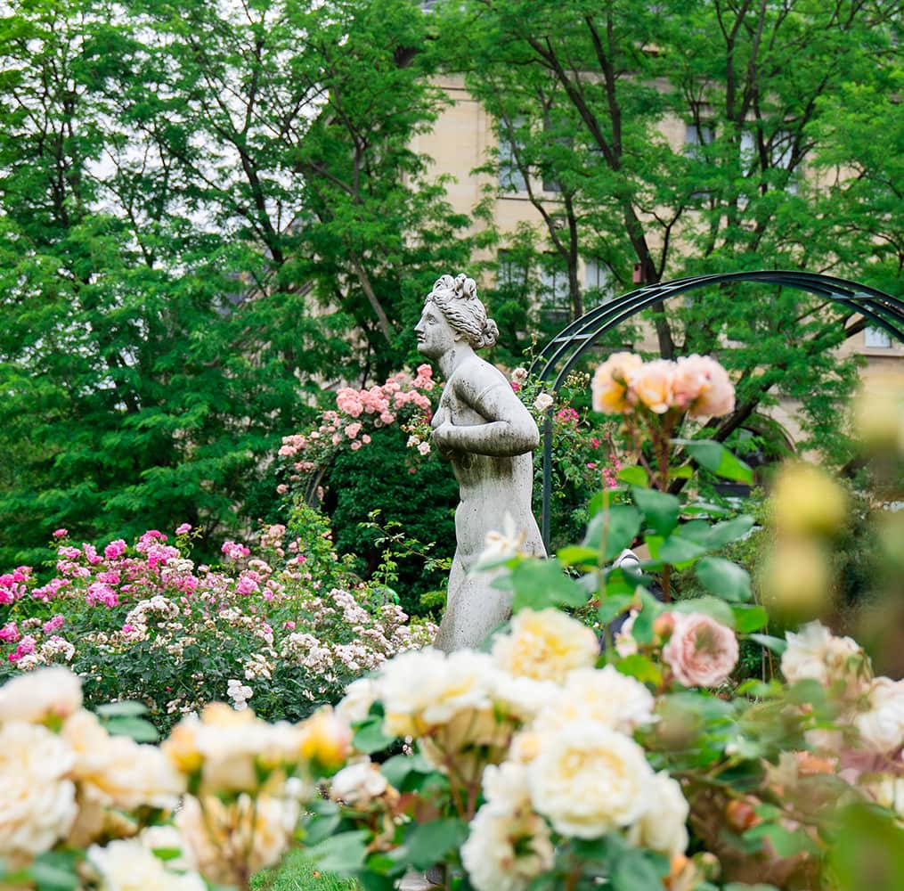 A stone figure of a woman surrounded by many pink and white roses and lush greenery