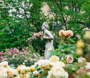 A stone figure of a woman surrounded by many pink and white roses and lush greenery