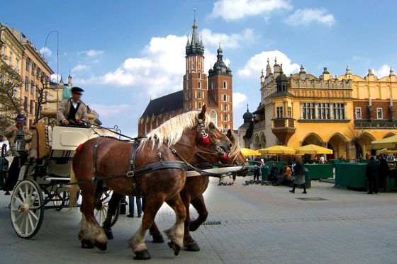 A horse drawn carriage riding through the main square of Krakow.