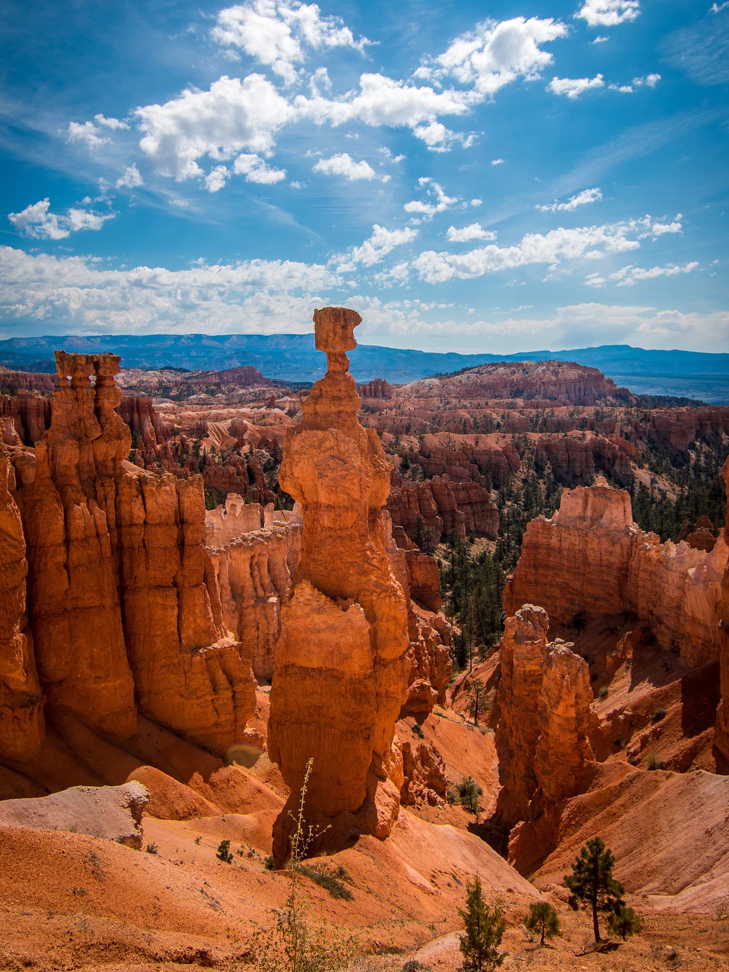 Many orange rock formations with layered striations viewable in the rocks and a mountain range in the background