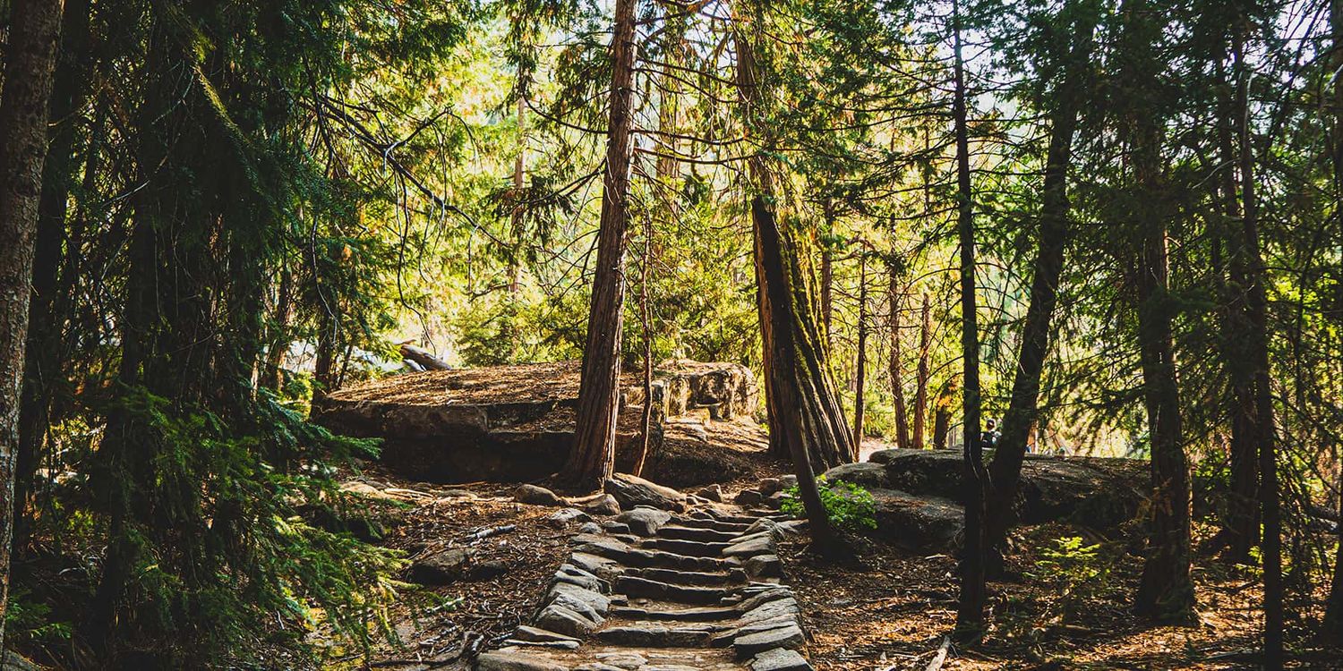 A pathway through the trees at Yosemite National Park, California.