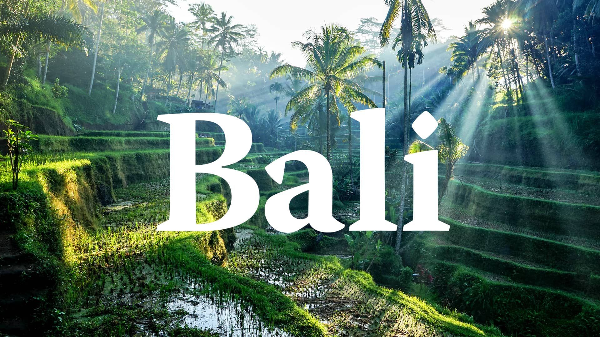 “Bali” text over a green terraced hillside with the sun shining through palm trees. 