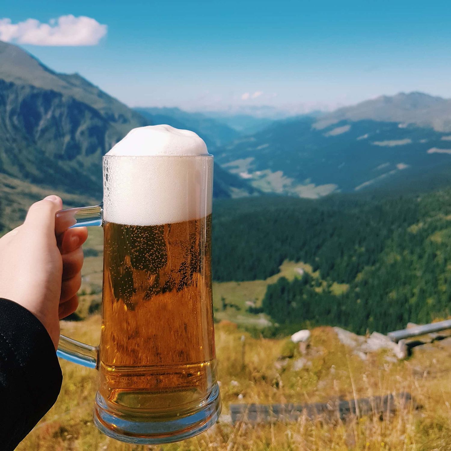 Someone's hand holding a stein of beer with the Austrian Alps in the distance.