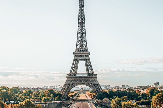 The Eiffel Tower right in the center of the frame surrounded by trees and with some decorative water fountains in front of the tower