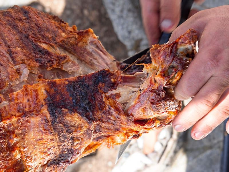 A hand pulling apart a piece of grilled meat. 