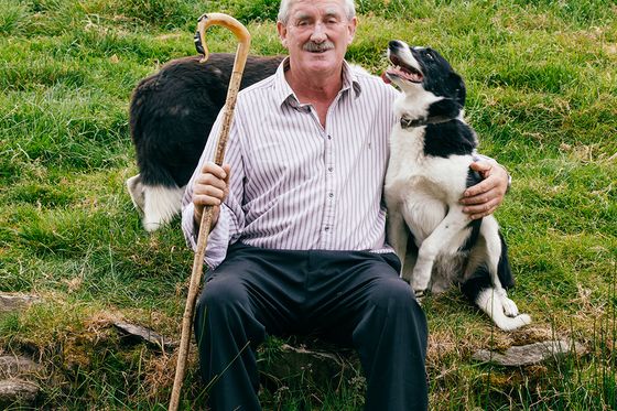 sheep herder sitting on hillside with his dogs