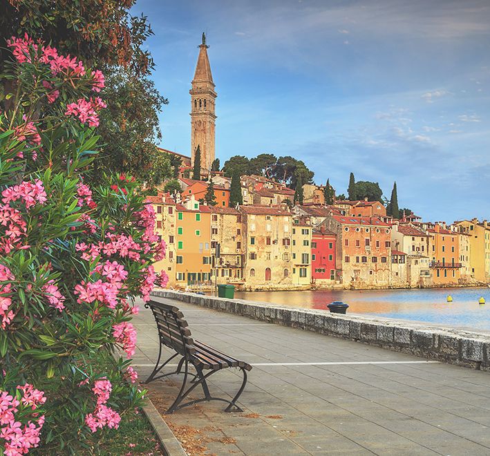 pink flowers along sidewalk along coast in rovinj croatia