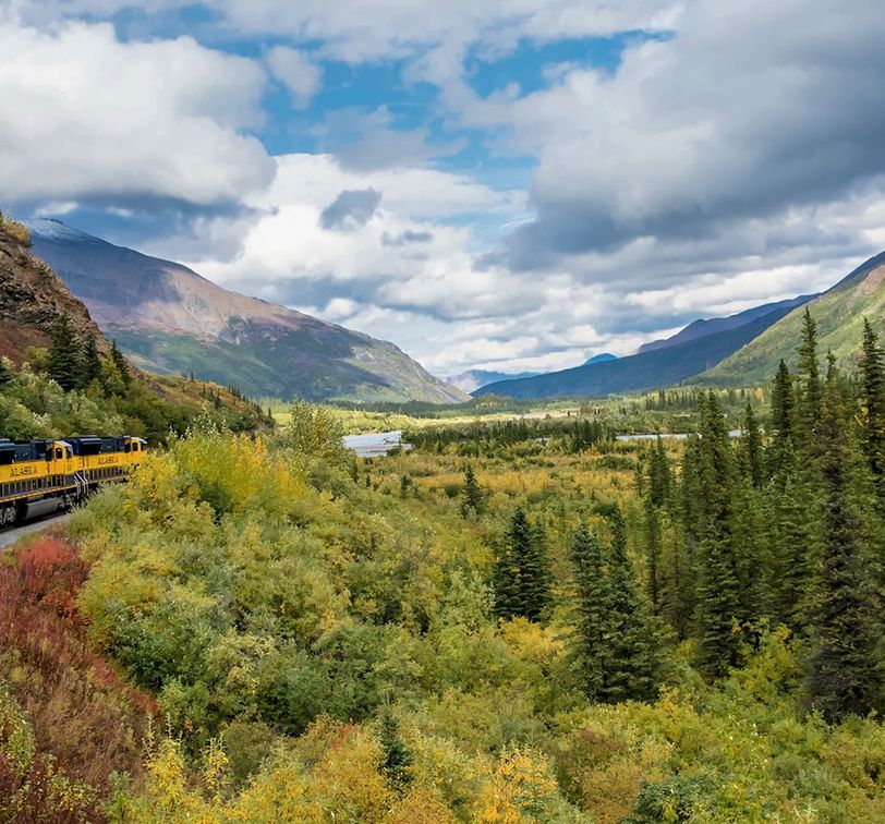 navy and yellow train riding through denali national park and preserve in alaska