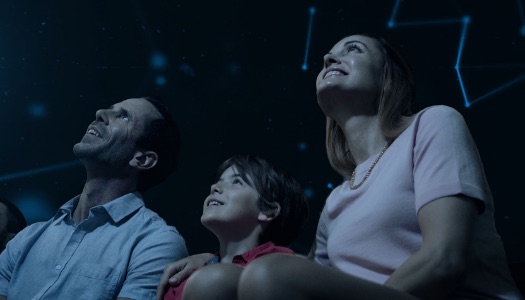 5-Star Luxury and Stellar Results