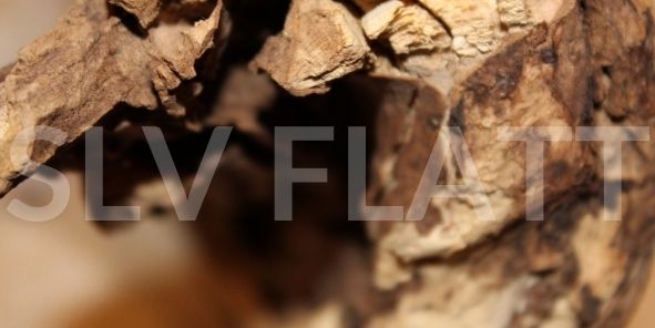 SLV FLATT - naturel par essence