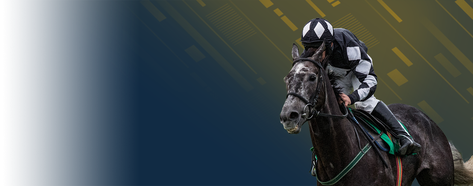 Checker Jockey Bonus Bet